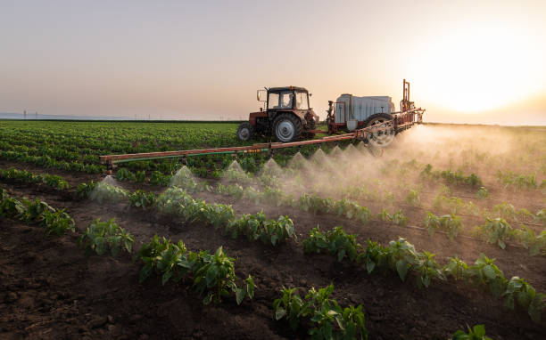 Best Best Pest Control Companies  in Owensville, MO