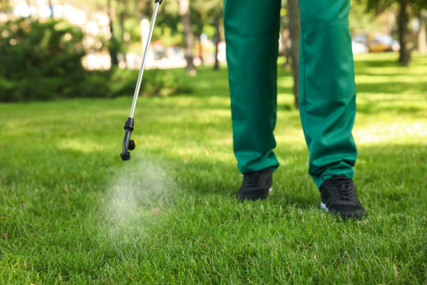 Insect Control in Owensville, MO