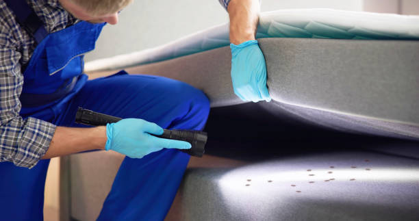 Best Best Pest Control Companies  in Owensville, MO