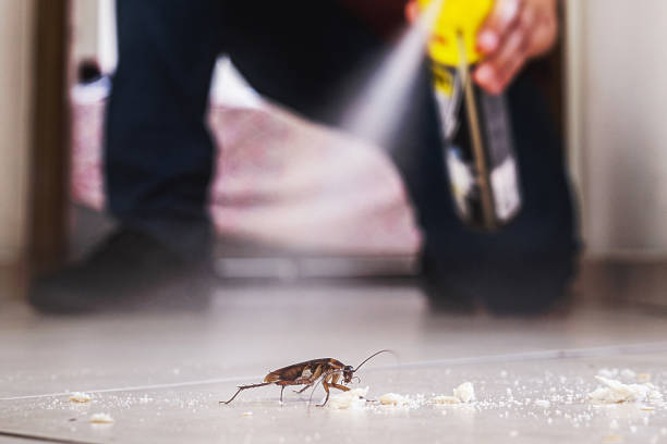 Best Local Pest Control Services  in Owensville, MO