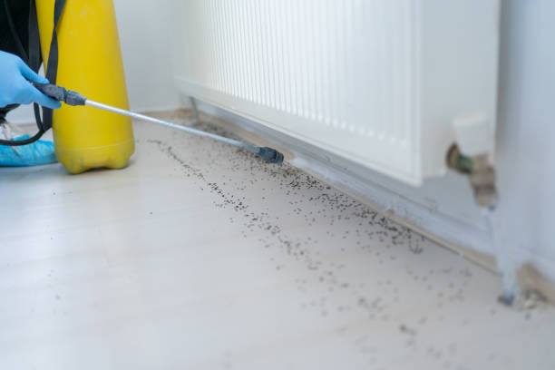 Best Pest Inspection Near Me  in Owensville, MO