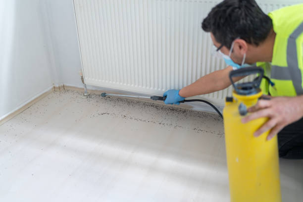 Best Affordable Pest Control Services  in Owensville, MO