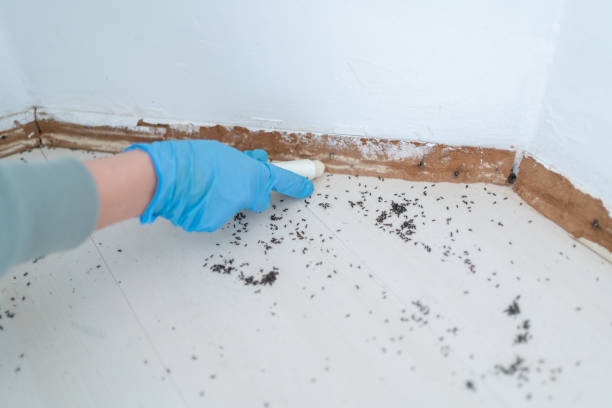 Best Pest Removal Services  in Owensville, MO